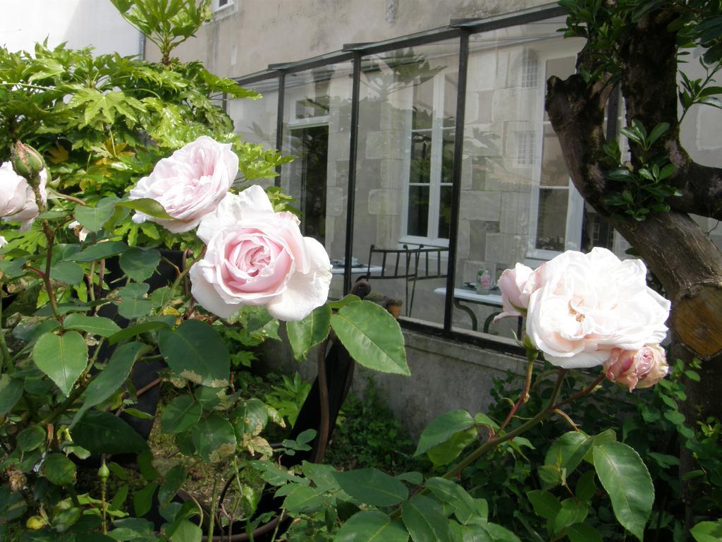 La Maison Douce Saint-Martin-de-Ré Exteriér fotografie