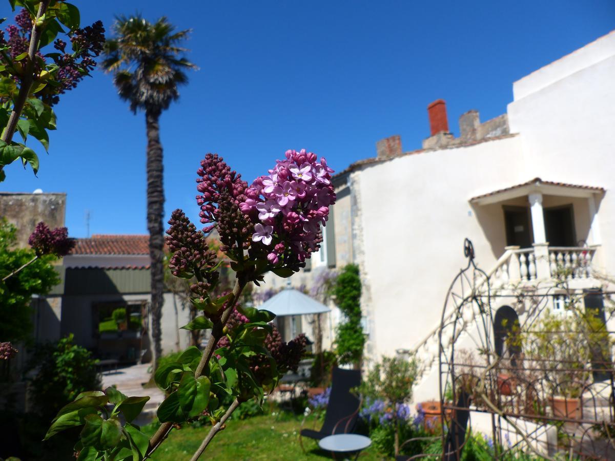 La Maison Douce Saint-Martin-de-Ré Exteriér fotografie